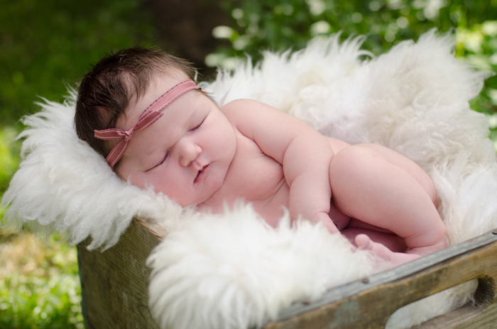 Newborn Photography - lemonthistle.com