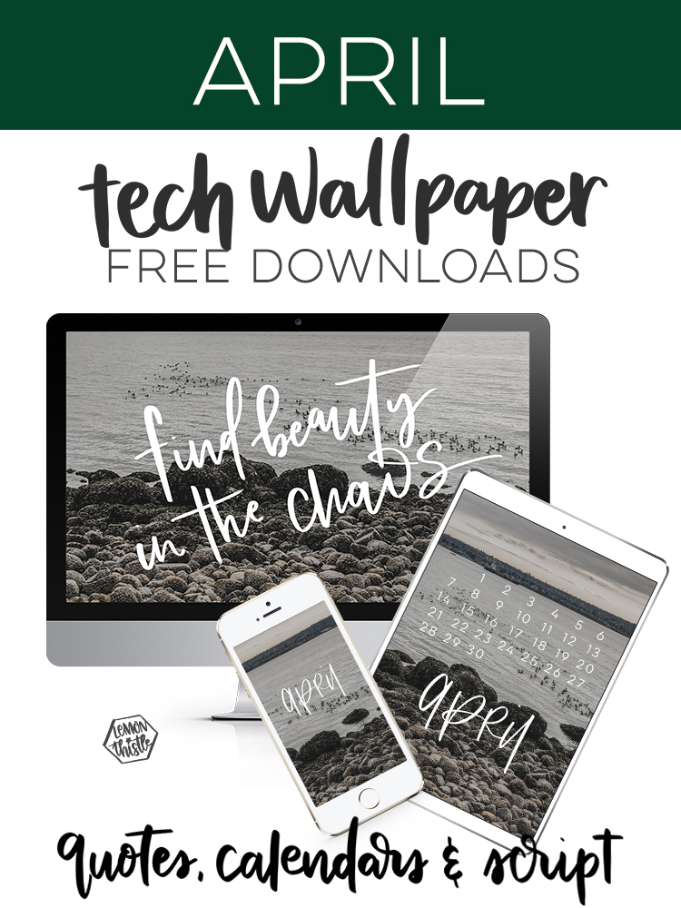 Find Beauty In The Chaos April Tech Wallpapers Lemon Thistle Images, Photos, Reviews