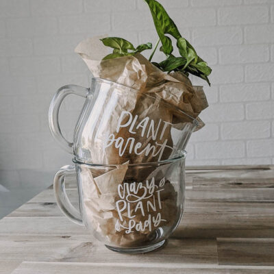 plant mugs