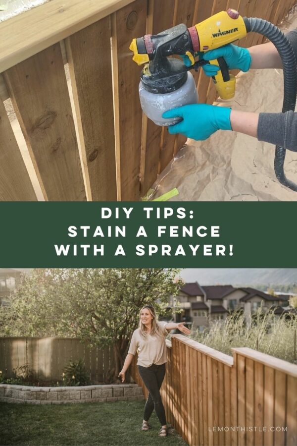 Staining a Fence with a Sprayer! DIY Tips Lemon Thistle